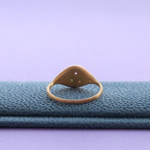 スリム オーバル シグネット リング 13号 - マット / トルマリン / K18メッキ | Slim Oval Signet Ring #13 - matte finish / Tourmaline / 18K plating