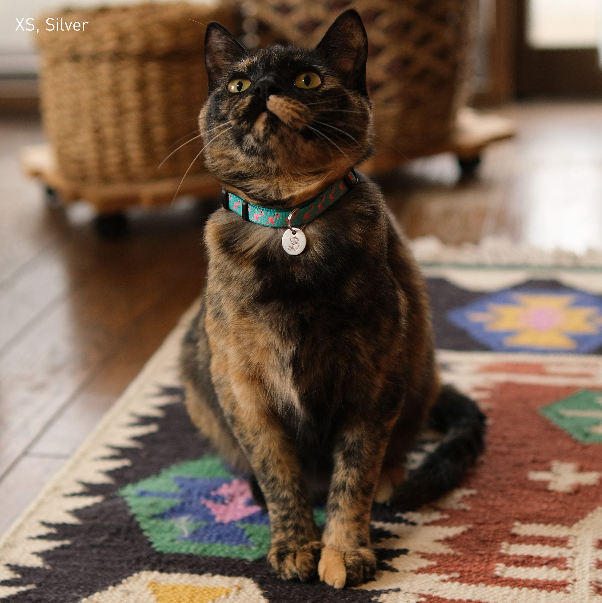 イニシャル迷子札 - ロープ | Initial Pet Tag - Rope