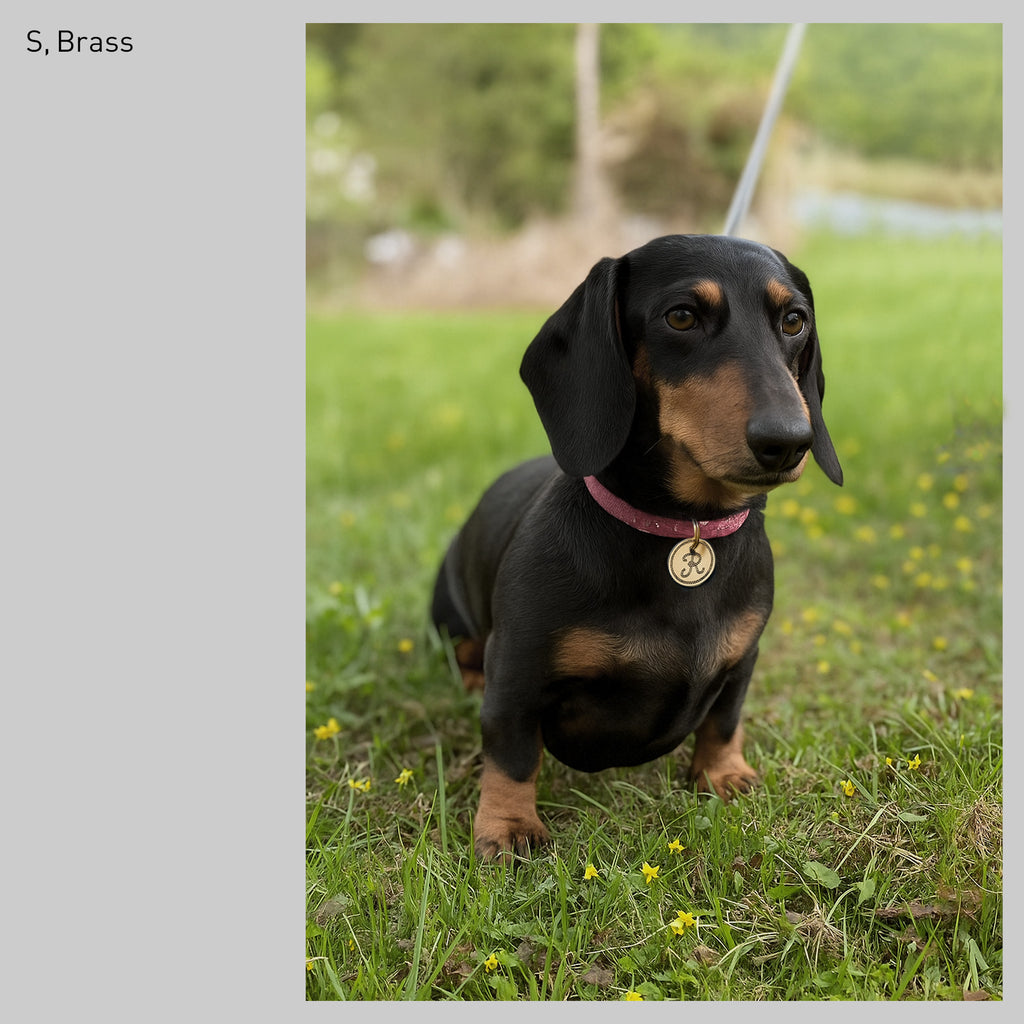 イニシャル迷子札 - ロープ | Initial Pet Tag - Rope