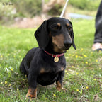 ロープ・イニシャル・ペットタグ（迷子札）