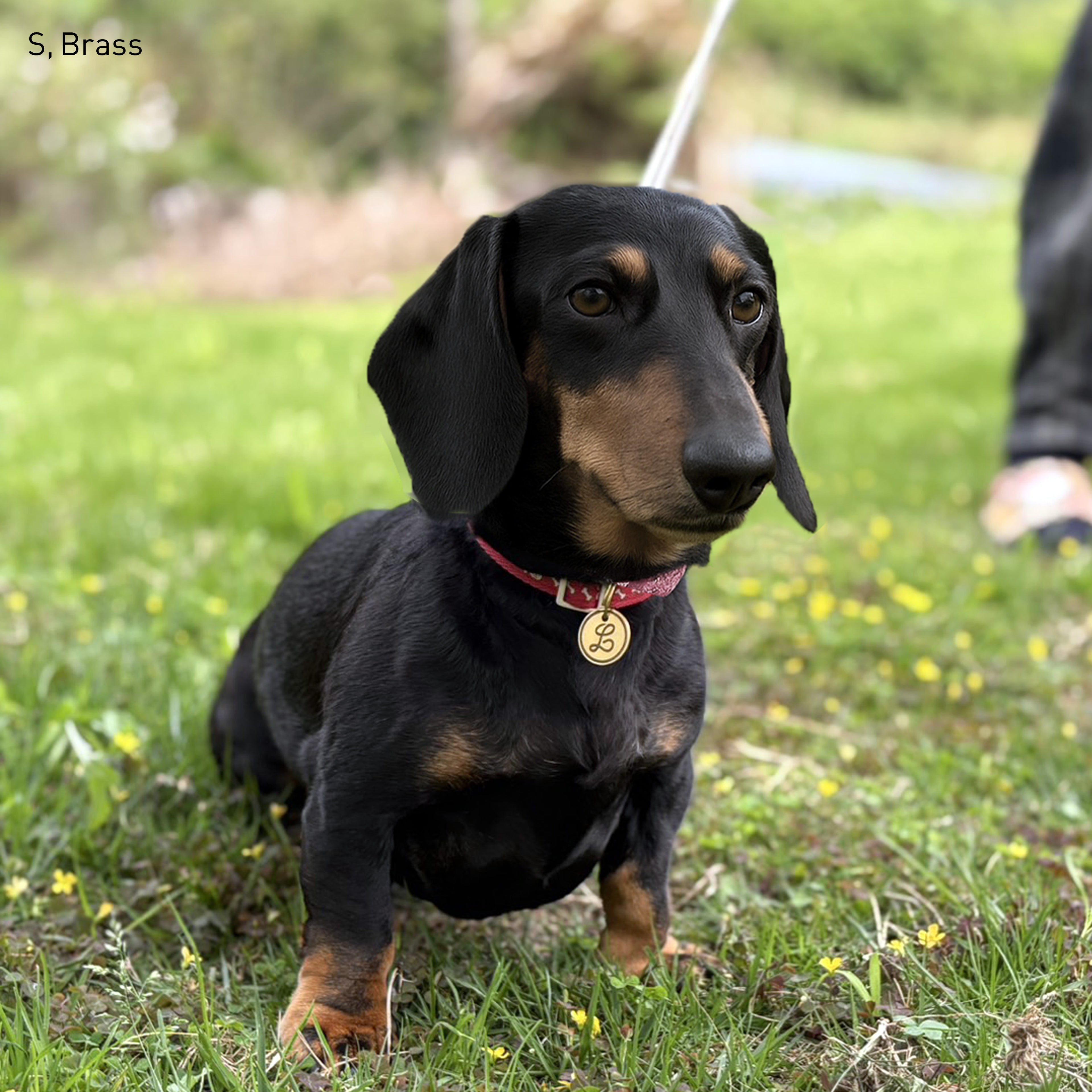 ロープ・イニシャル・ペットタグ（迷子札）