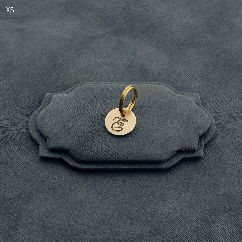 イニシャル迷子札 - スネーク | Initial Pet Tag - Snake