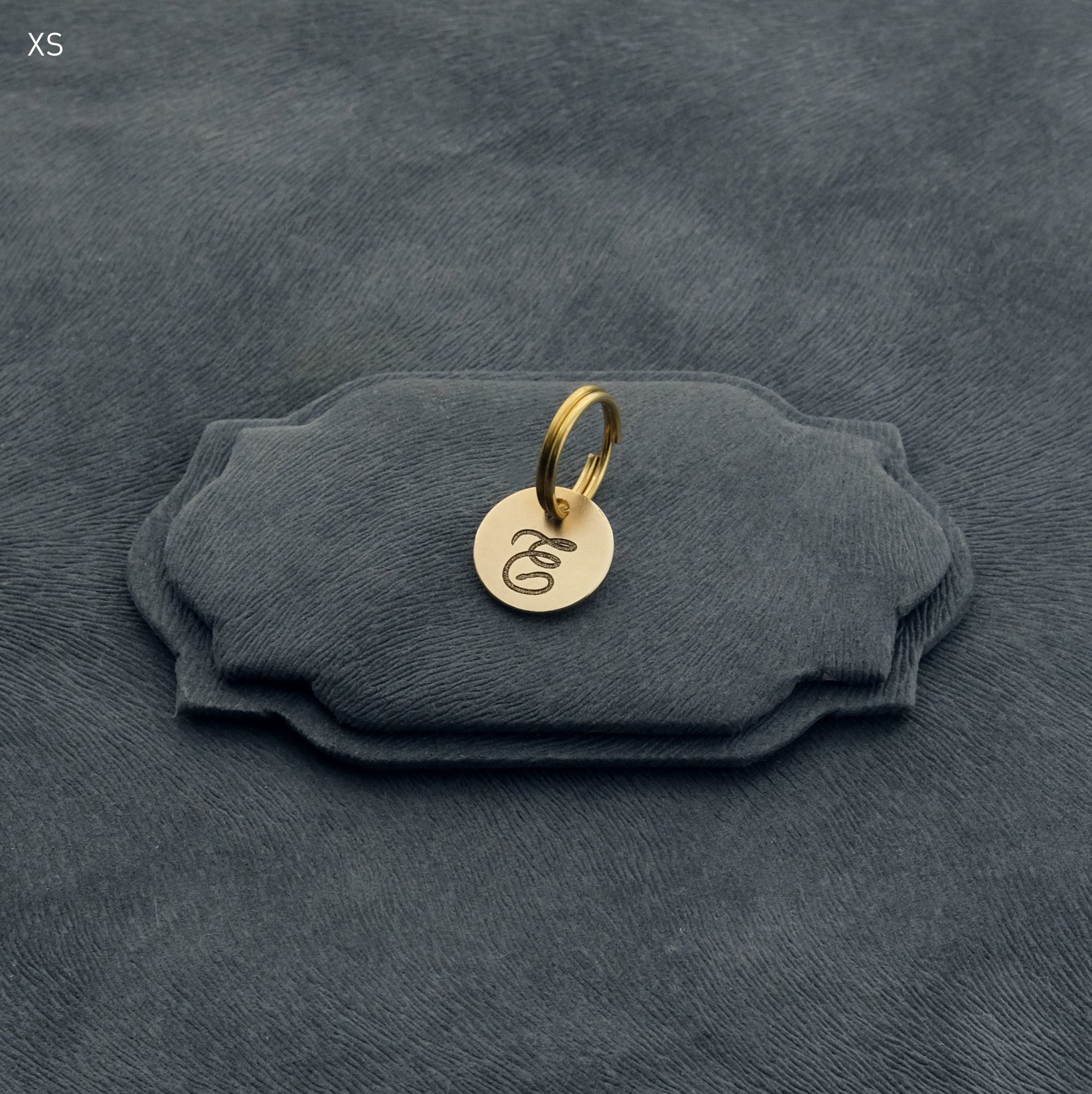 イニシャル迷子札 - スネーク | Initial Pet Tag - Snake