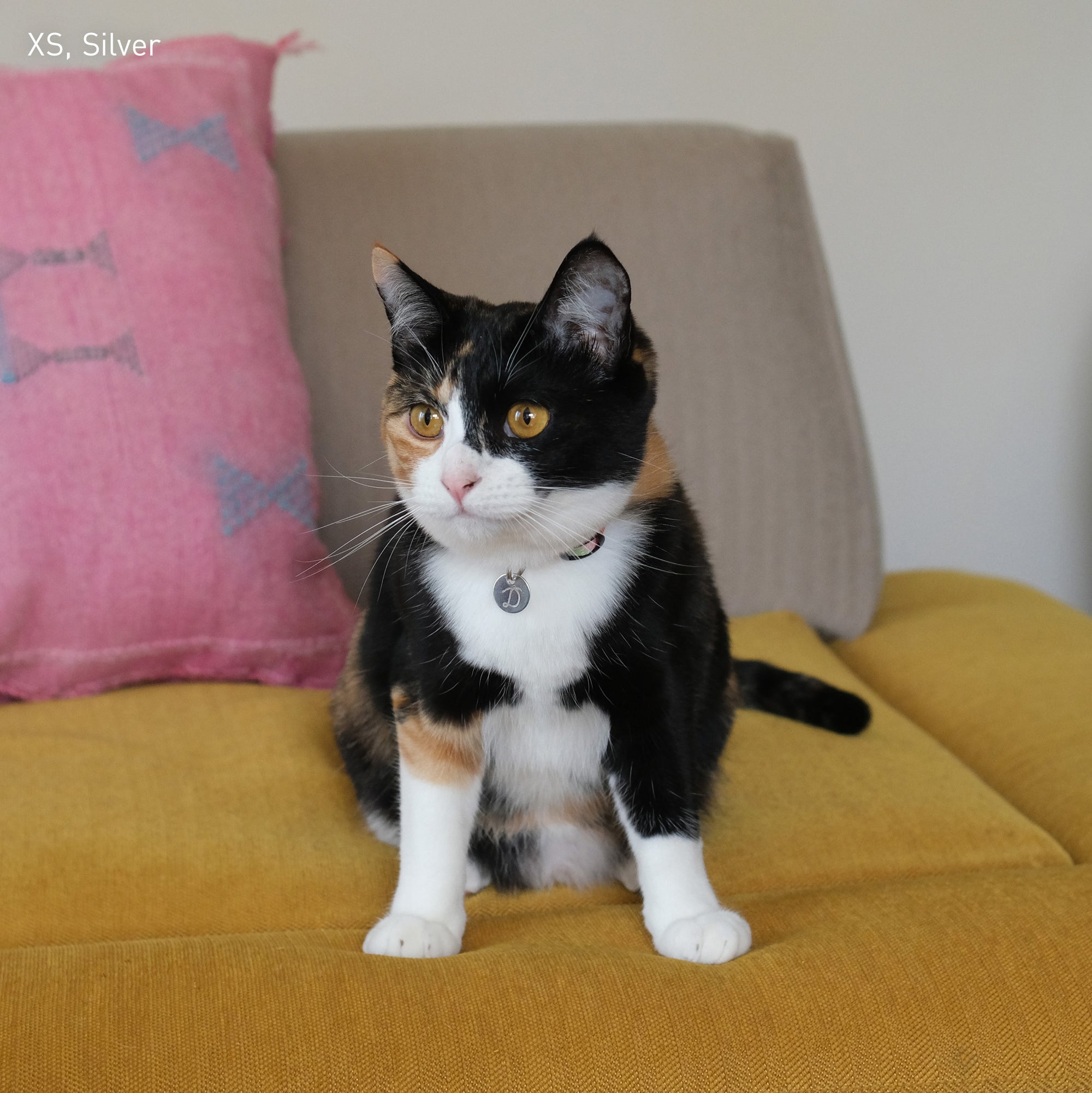 イニシャル迷子札 - スネーク | Initial Pet Tag - Snake