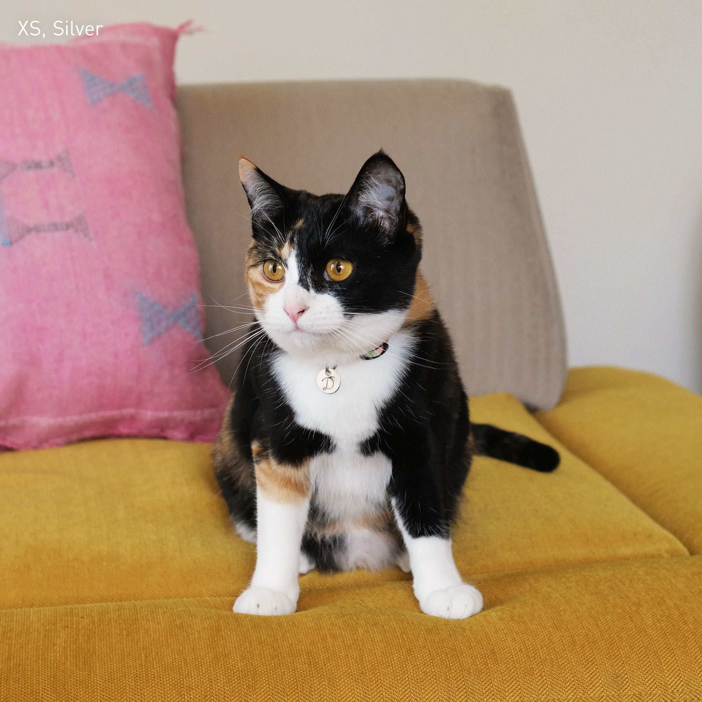 スネーク・イニシャル・ペットタグ（迷子札）