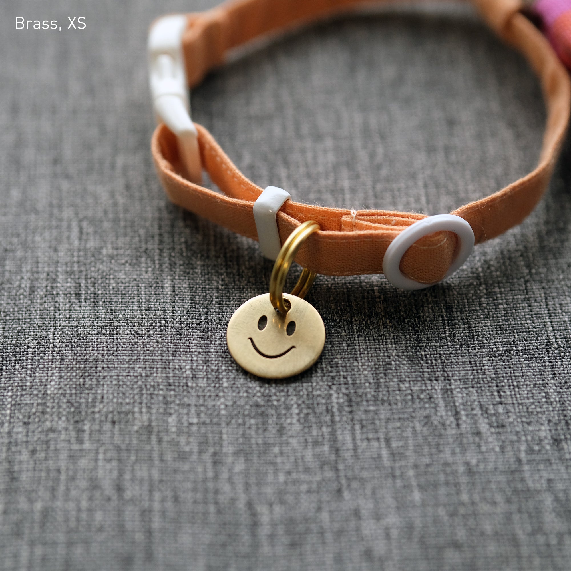 迷子札 - スマイリー | Pet Tag - Smiley