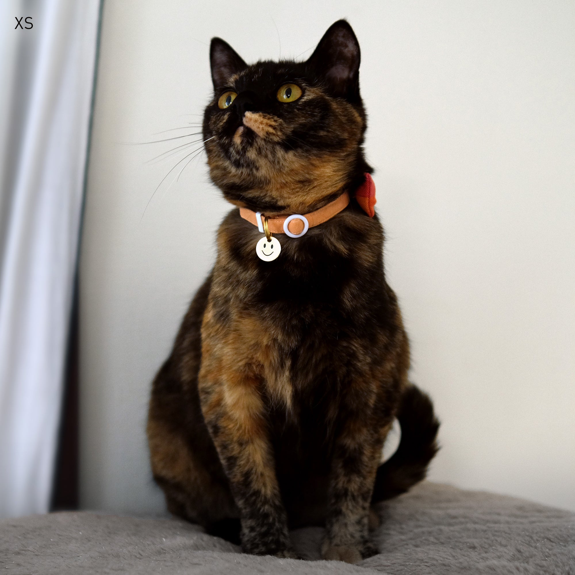 迷子札 - スマイリー | Pet Tag - Smiley