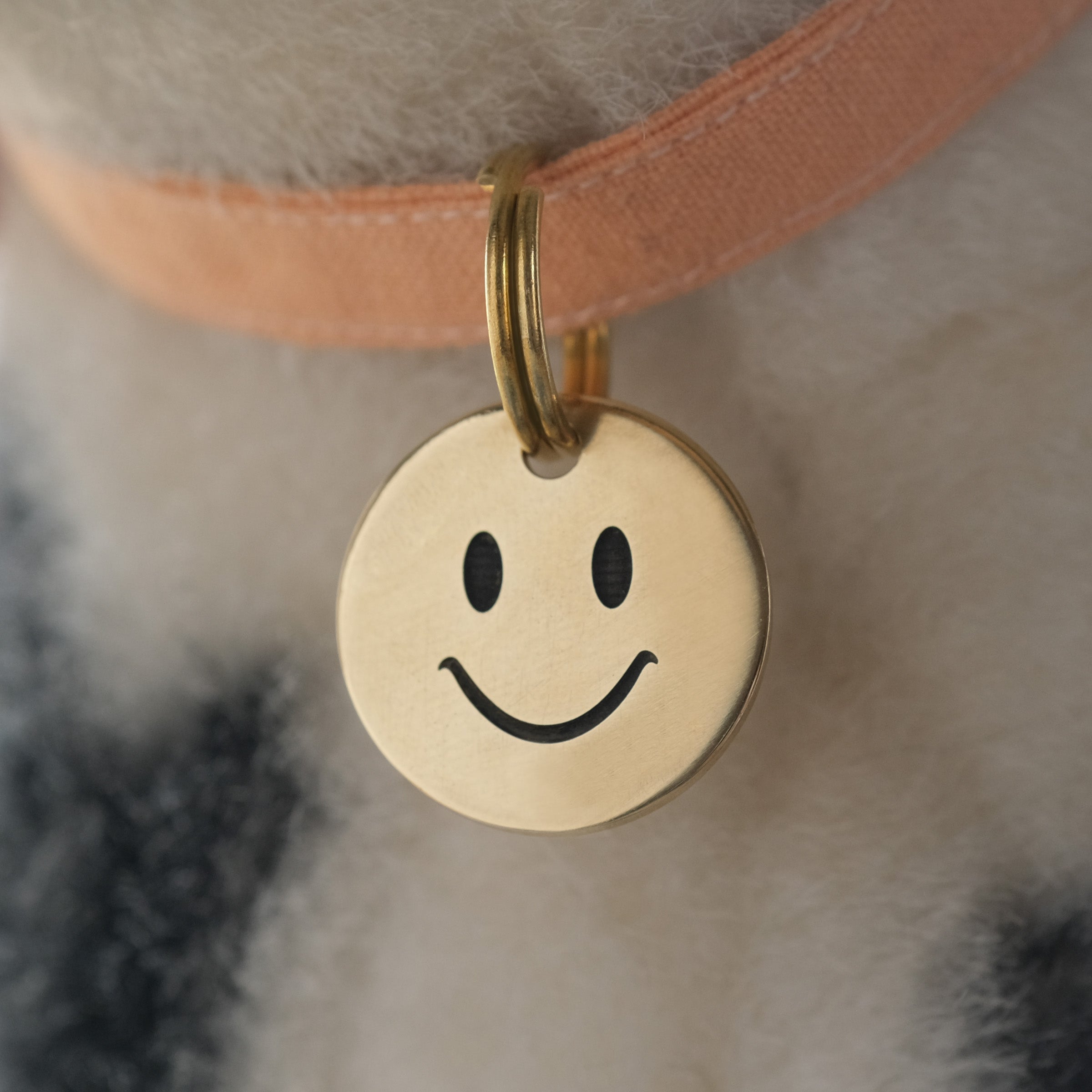Pet Tag - Smiley