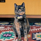 ピクセル 迷子札 | Pet Tag – Pixel