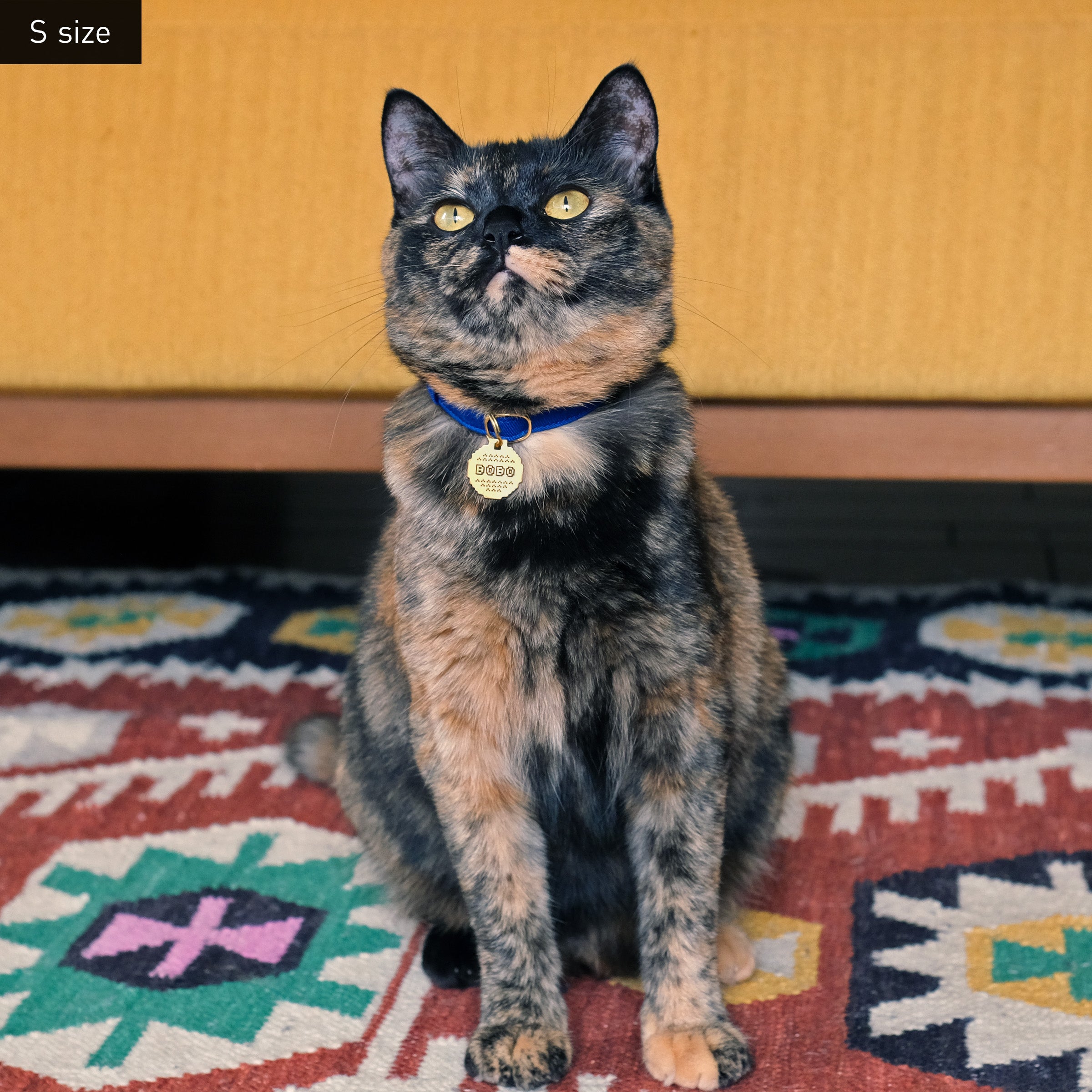 ピクセル 迷子札