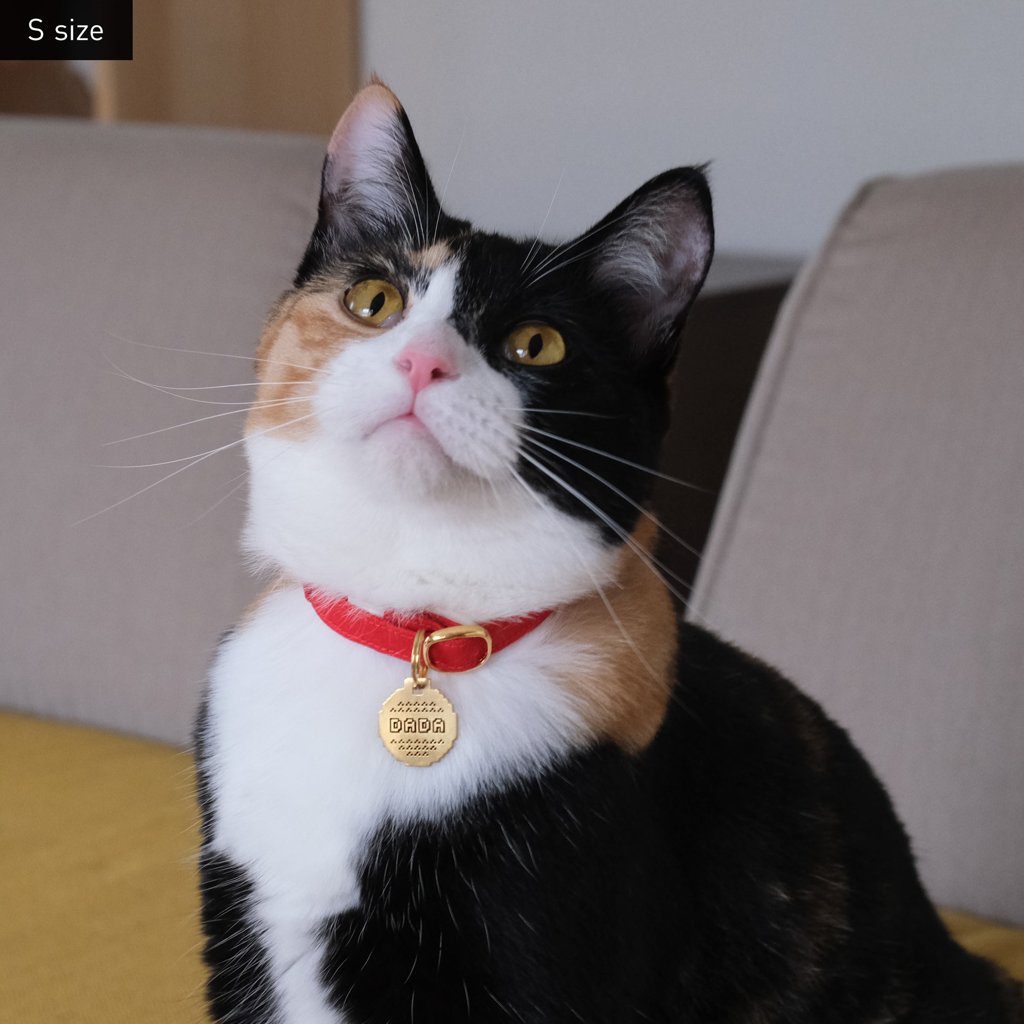 ピクセル 迷子札 | Pet Tag – Pixel