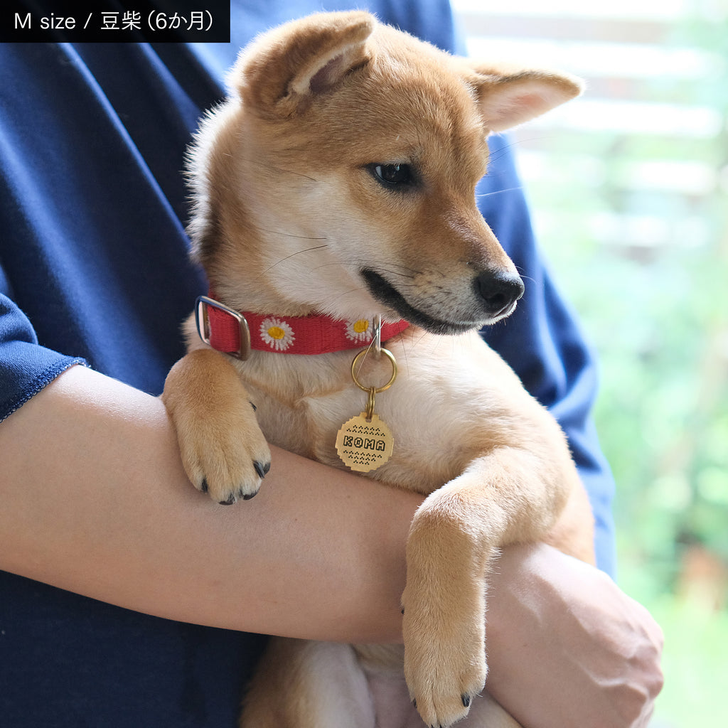 ピクセル 迷子札 | Pet Tag – Pixel