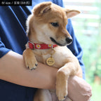 ピクセル 迷子札 | Pet Tag – Pixel