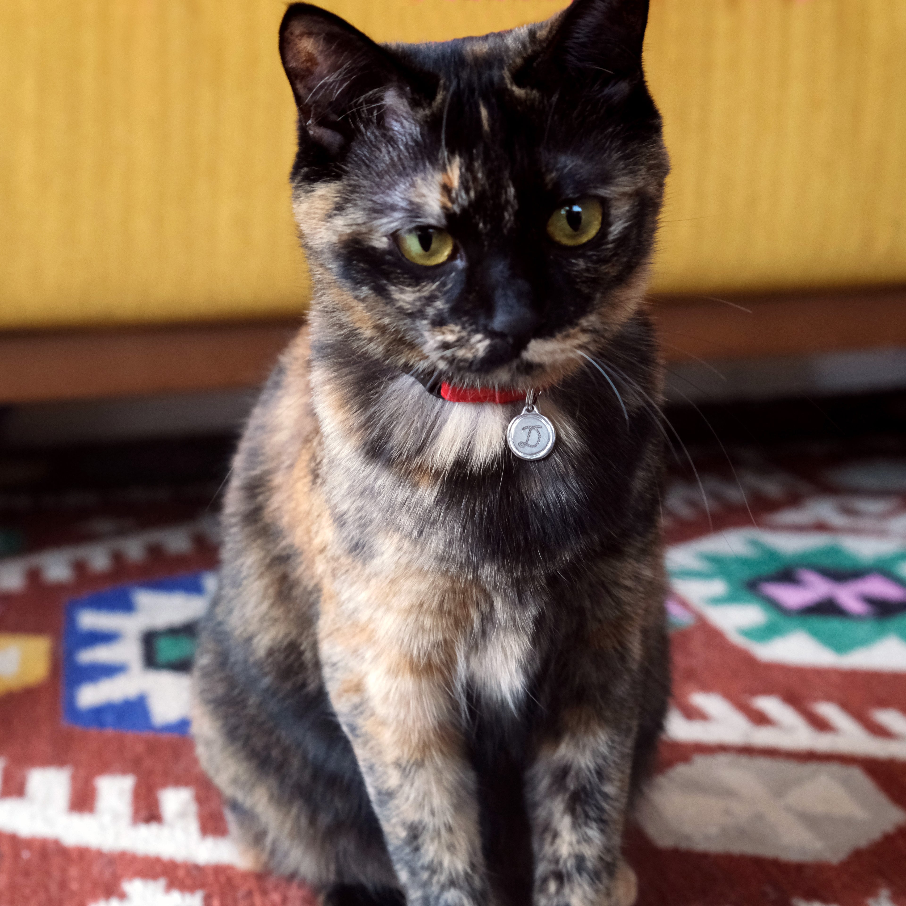 ワックス シール イニシャル 迷子札