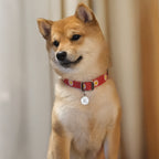 ワックス シール イニシャル ペットタグ（迷子札）