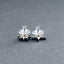 スター ピアス | Star earrings